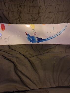Ride Solace 142 women's snowboard, featuring a bird graphic design